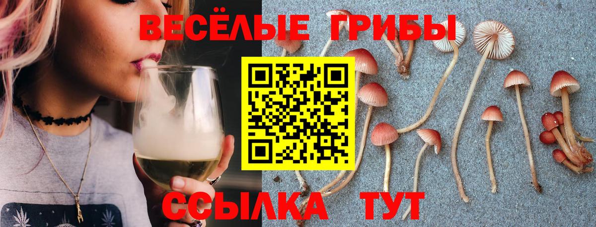 Псилоцибиновые грибы Psilocybine cubensis  Псилоцибиновые грибы MAGIC MUSHROOMS  Вход с VPN  Кинель 